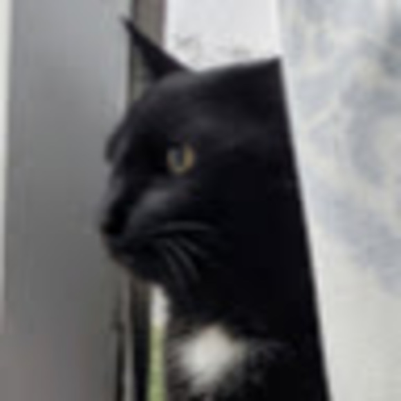 Meet your Posher, Rachel - Picture 1 of 1